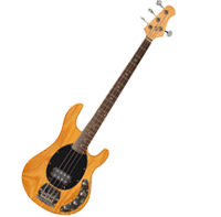 En savoir plus sur la guitare basse