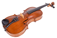En savoir plus sur le violon